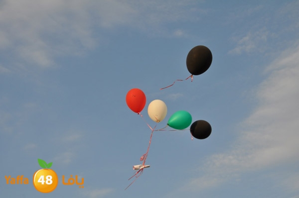 kidsrabeta515 (62).JPG